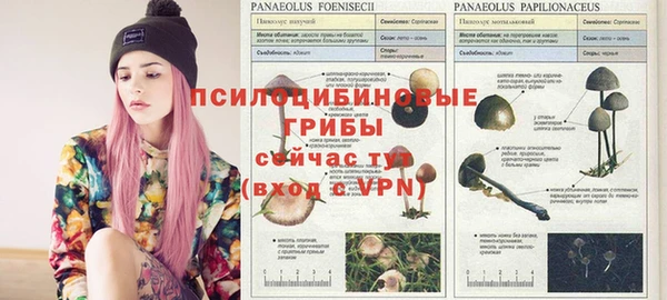 дурь Протвино