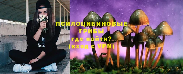 мескалин Приозерск