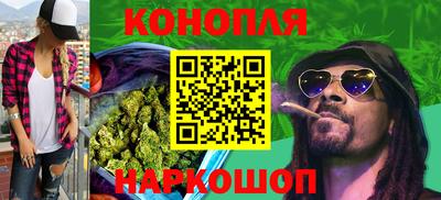шишки Жуковский