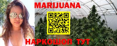 трава Заводоуковск