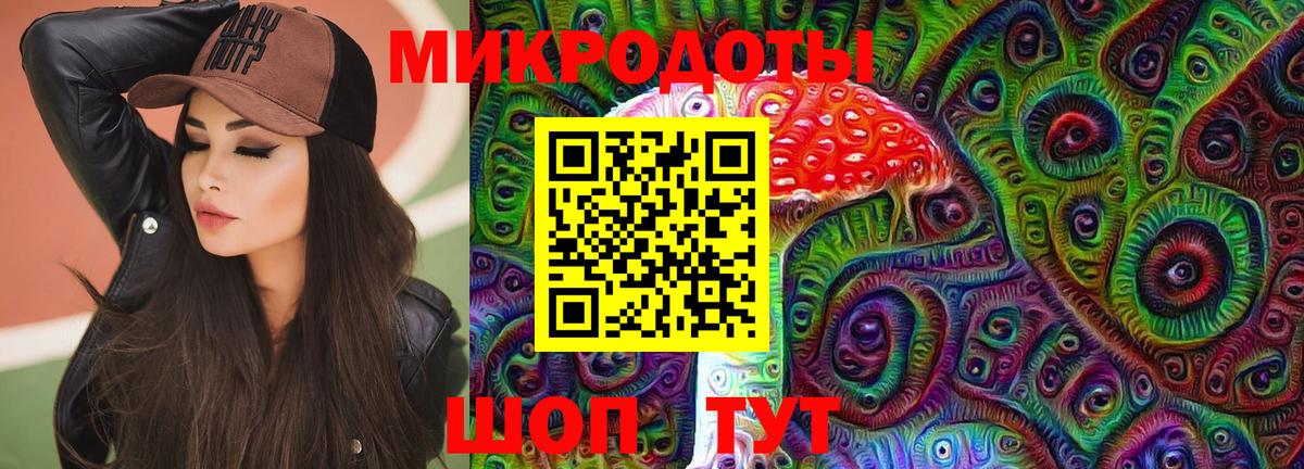 Камень-на-Оби  Псилоцибиновые грибы прущие грибы  Псилоцибиновые грибы GOLDEN TEACHER  Вход с VPN 