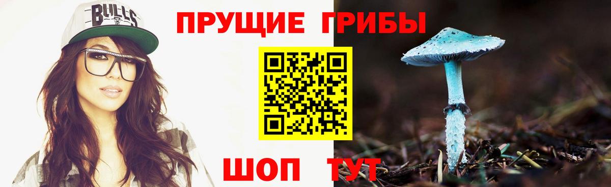 Псилоцибиновые грибы Cubensis Камень-на-Оби