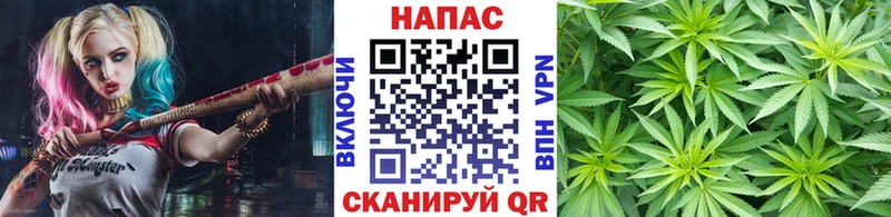 Марихуана OG Kush  Камень-на-Оби 